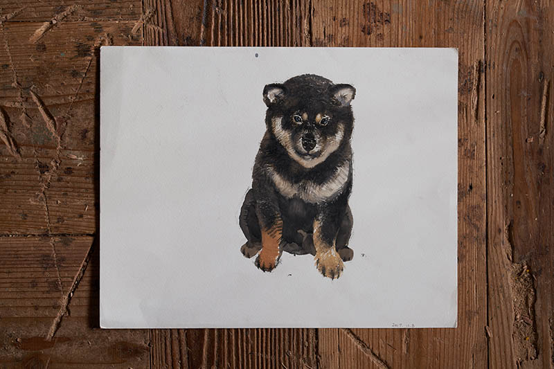 はしもとみお展―時を刻むいきものたち― 佐野美術館-10