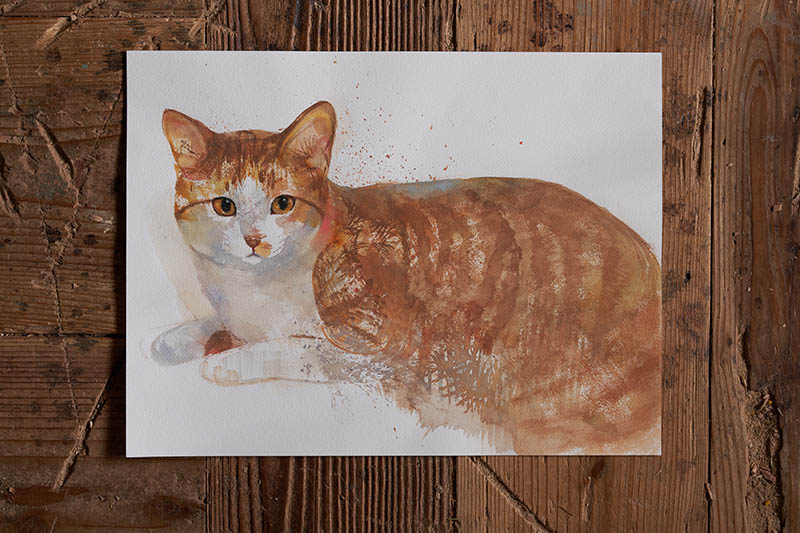 はしもとみお展―時を刻むいきものたち― 佐野美術館-11