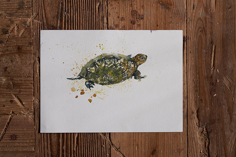 はしもとみお展―時を刻むいきものたち― 佐野美術館-12