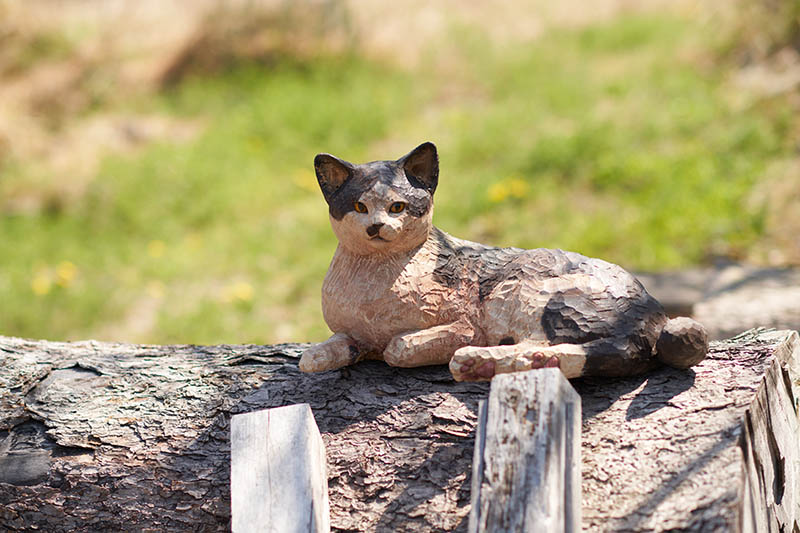 はしもとみお展―時を刻むいきものたち― 佐野美術館-2