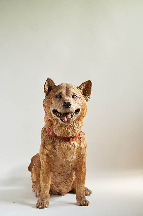 はしもとみお展―時を刻むいきものたち― 佐野美術館-5