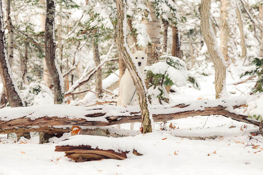 大地に耳をすます　気配と手ざわり 東京都美術館-4