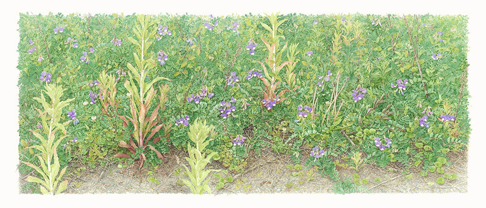 大地に耳をすます　気配と手ざわり 東京都美術館-10