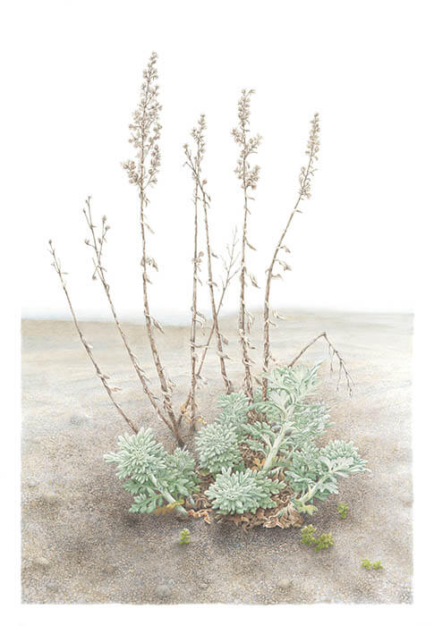 大地に耳をすます　気配と手ざわり 東京都美術館-11