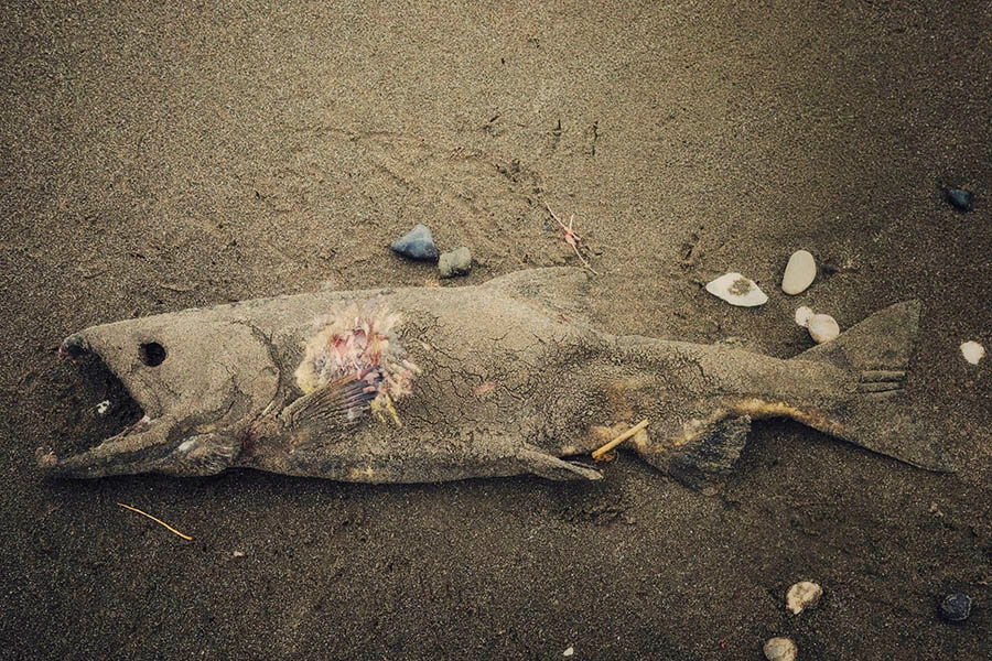 大地に耳をすます　気配と手ざわり 東京都美術館-6