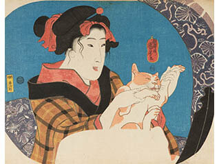 国芳の団扇絵　―猫と歌舞伎とチャキチャキ娘