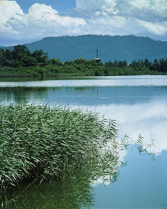 入江泰吉「塔のある風景」展 入江泰吉記念奈良市写真美術館-1