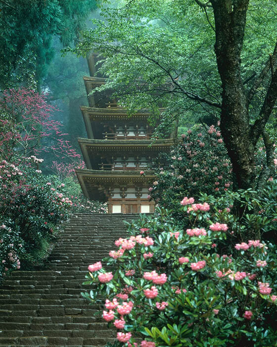 入江泰吉「塔のある風景」展 入江泰吉記念奈良市写真美術館-2