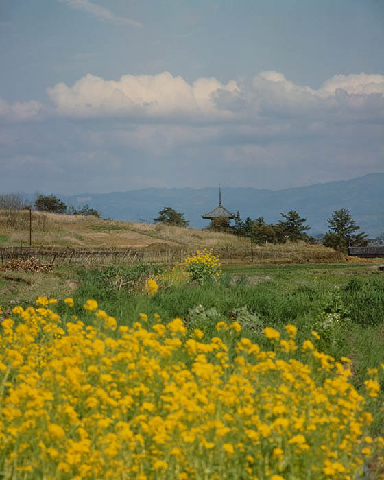 入江泰吉「塔のある風景」展 入江泰吉記念奈良市写真美術館-3