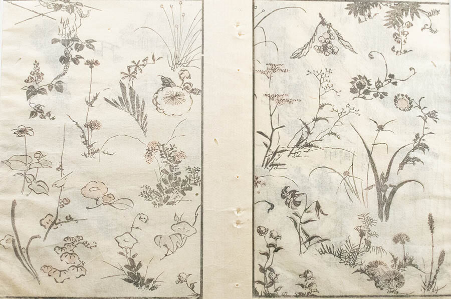 北斎の植物図鑑 北斎館-5