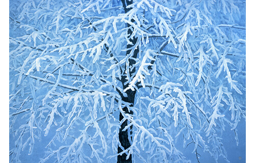 第V期 「静かな楽しさ」 長野県立美術館-3